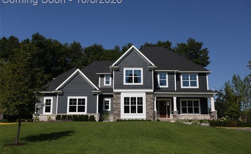 Maison à Township of Hamburg, Michigan, États-Unis 1