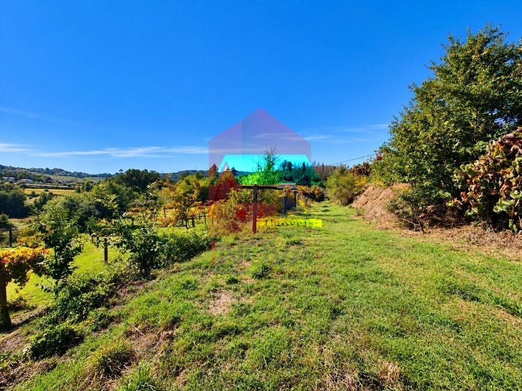 Farm Ranch in Monsul, Braga, Portugal 5 - 19057456
