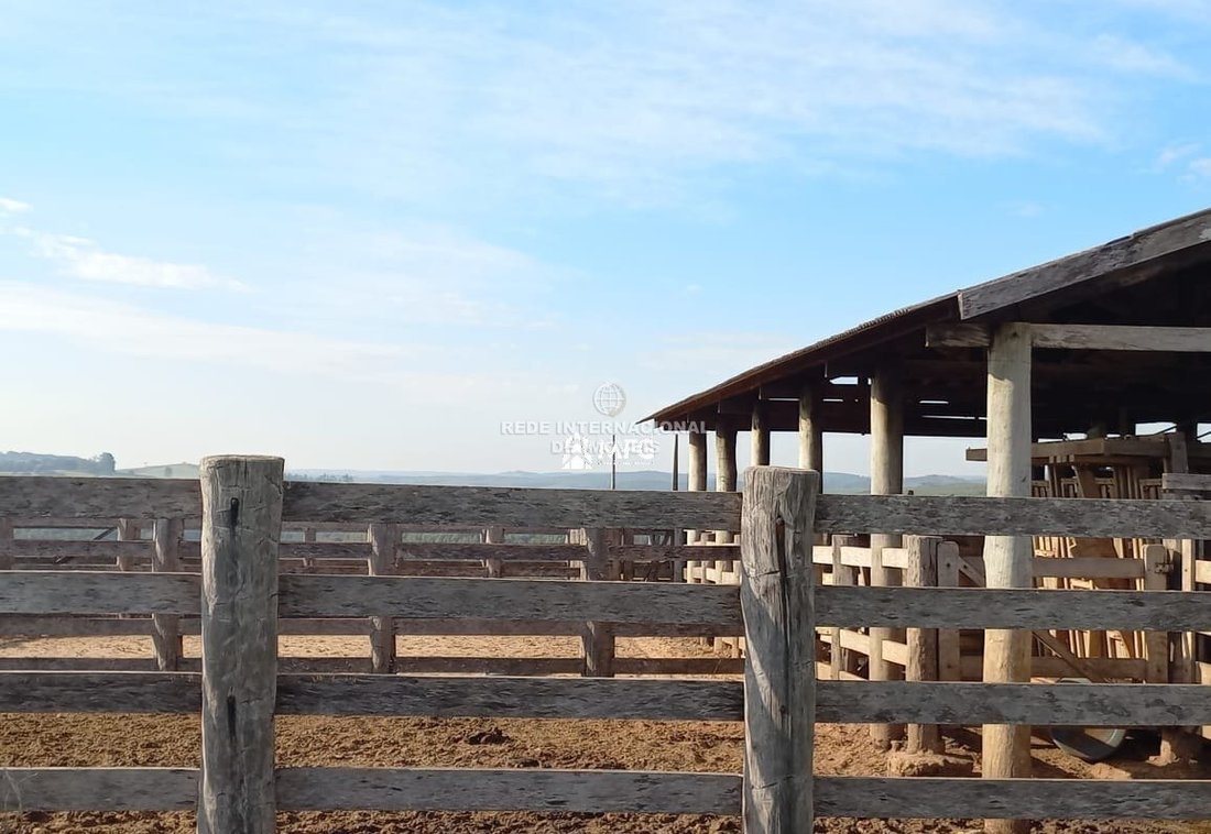 Azienda agricola a Pirajuí, San Paolo, Brasile 2 - 19057949