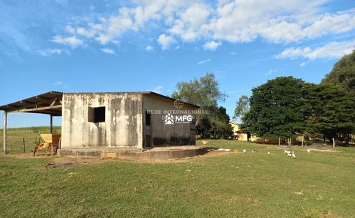 Farm Ranch in Pirajuí, State of São Paulo, Brazil 1