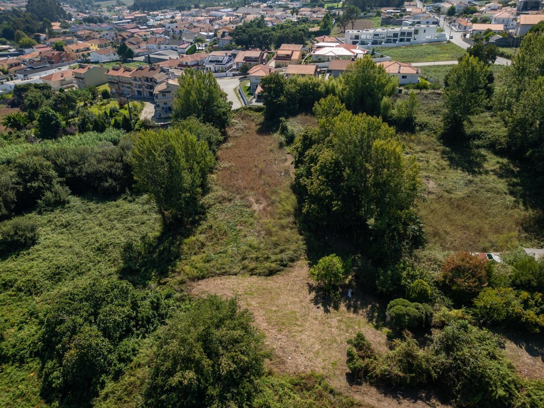 Otros en Mozelos, Distrito de Aveiro, Portugal 3 - 19057313