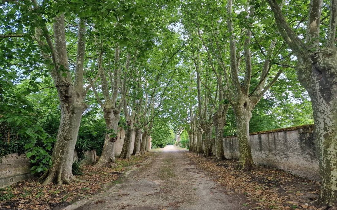 Chateau  en Carcasona, Occitania, Francia 3 - 11218545