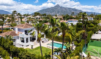 Villa en Nueva Andalucía, Marbella, España 1