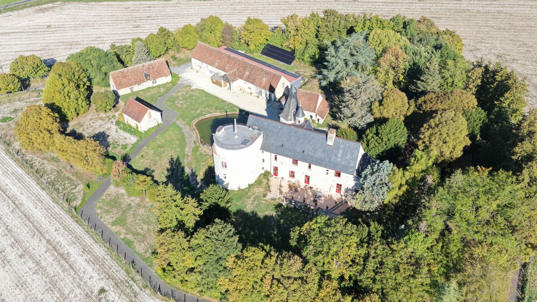 Castillo en Sainte-Maure-de-Touraine, Centro-Val de Loira, Francia 3 - 19057685