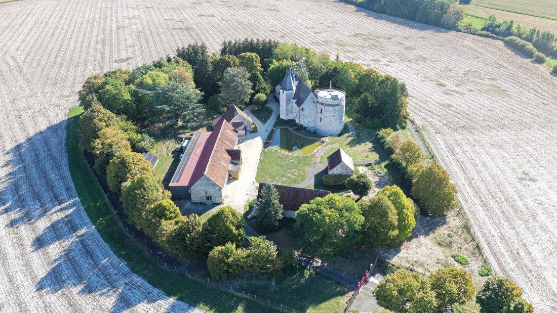 Castillo en Sainte-Maure-de-Touraine, Centro-Val de Loira, Francia 4 - 19057685