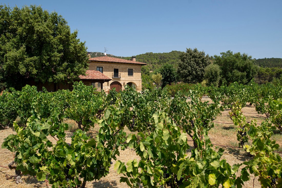 Corps de ferme à Villalba de Rioja, La Rioja, Espagne 3 - 17328791