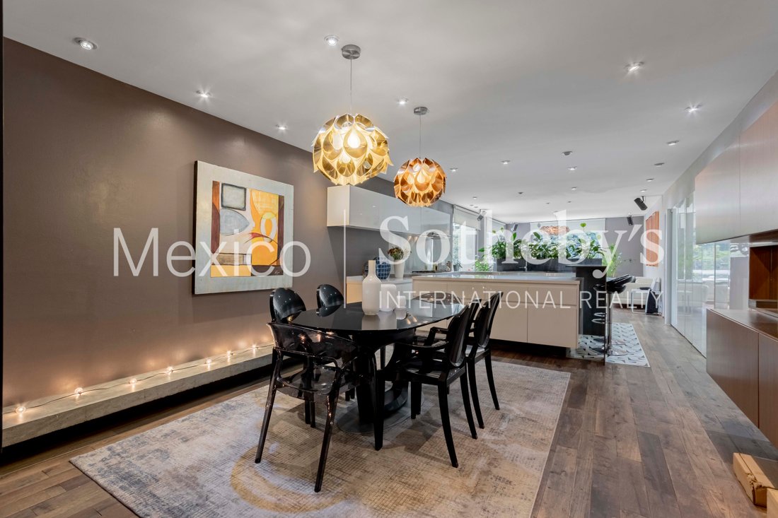 Apartment in Mexico City, Mexico 4 - 19058930