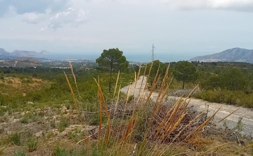 Terrain à La Nucia, Valence, Espagne 1