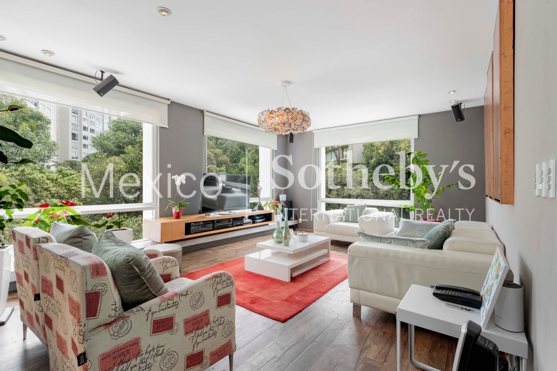 Apartment in Mexico City, Mexico 2 - 19058930