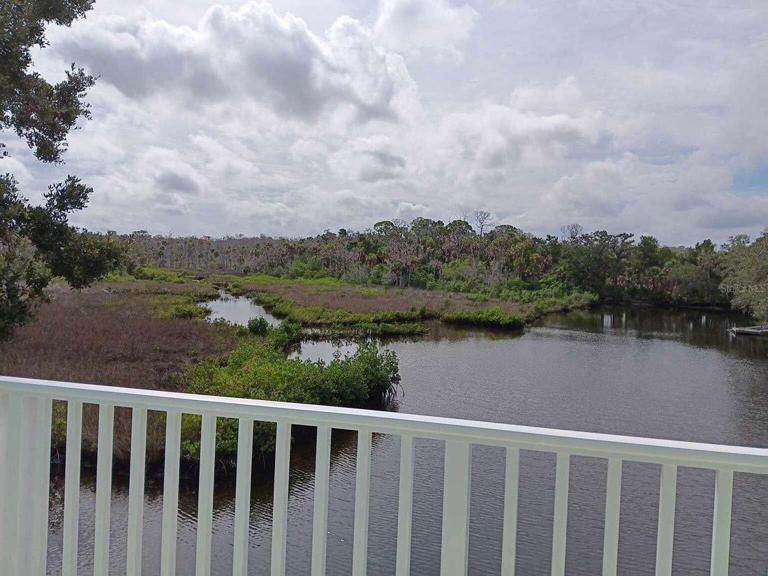 House in Spring Hill, Florida, United States 3 - 19059601