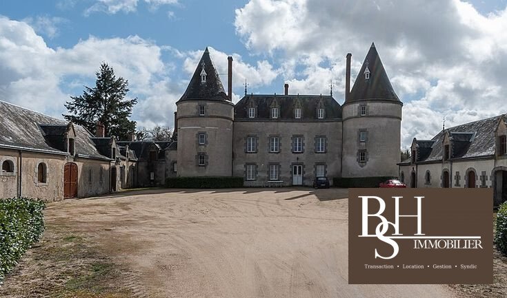 Chateau in Verneuil-Moustiers, Nouvelle-Aquitaine, France 4 - 19065757