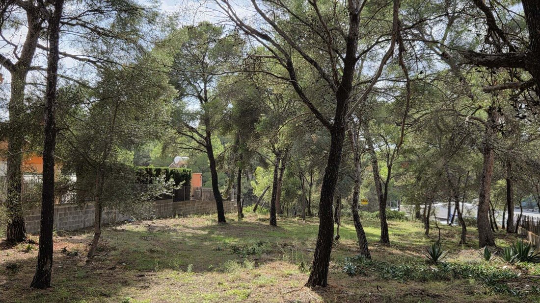 Land in Rotes Velles, Calvia, Balearic Islands 3 - 19059117