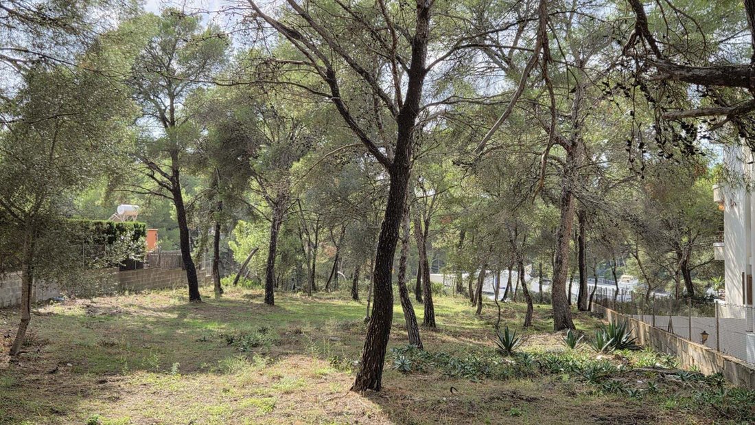 Land in Rotes Velles, Calvia, Balearic Islands 4 - 19059117