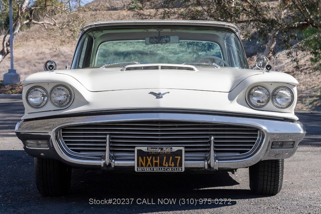 Ford Thunderbird in Los Angeles, CA 3 - 19060469