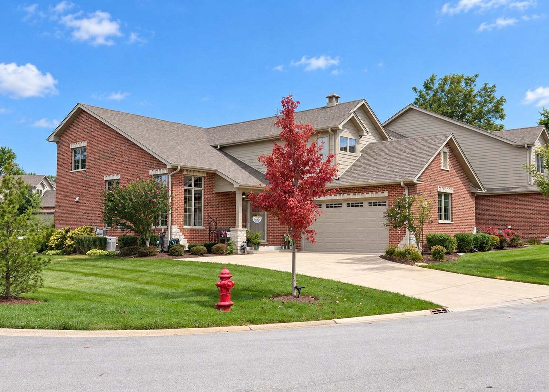 Residenza a Frankfort, Illinois, Stati Uniti 5 - 19059744