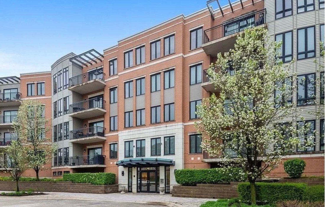 Condo in Elmhurst, Illinois, United States 1 - 19063238
