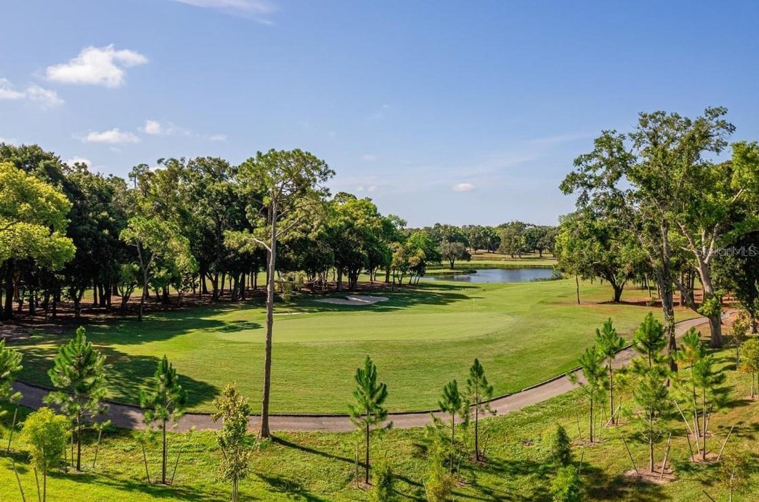 Residenza a Palm Harbor, Florida, Stati Uniti 4 - 19062833