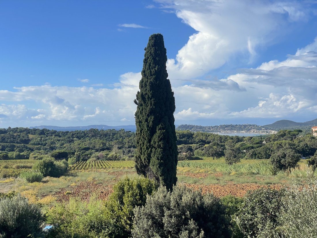Maison à La Croix-Valmer, Provence-Alpes-Côte d'Azur, France 1 - 16848783