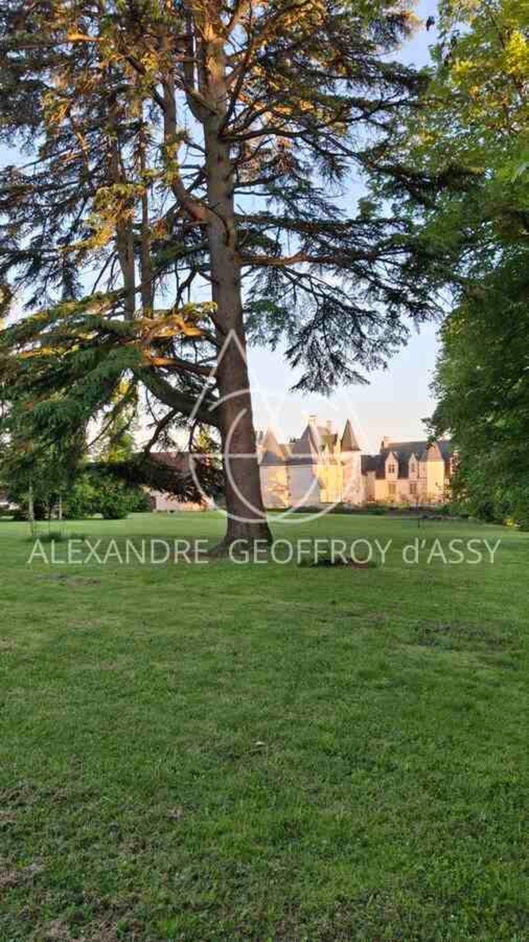 Schloss in Le Blanc, Zentrum-Loiretal, Frankreich 4 - 19060312