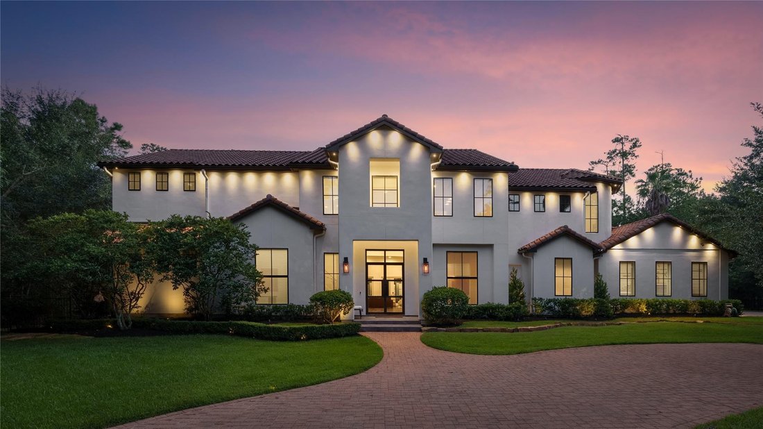Maison à The Woodlands, Texas, États-Unis 1 - 19059919