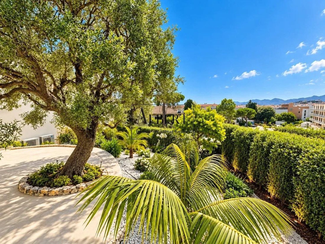 Appartamento a Cannes, Provenza-Alpi-Costa Azzurra, Francia 3 - 18687721