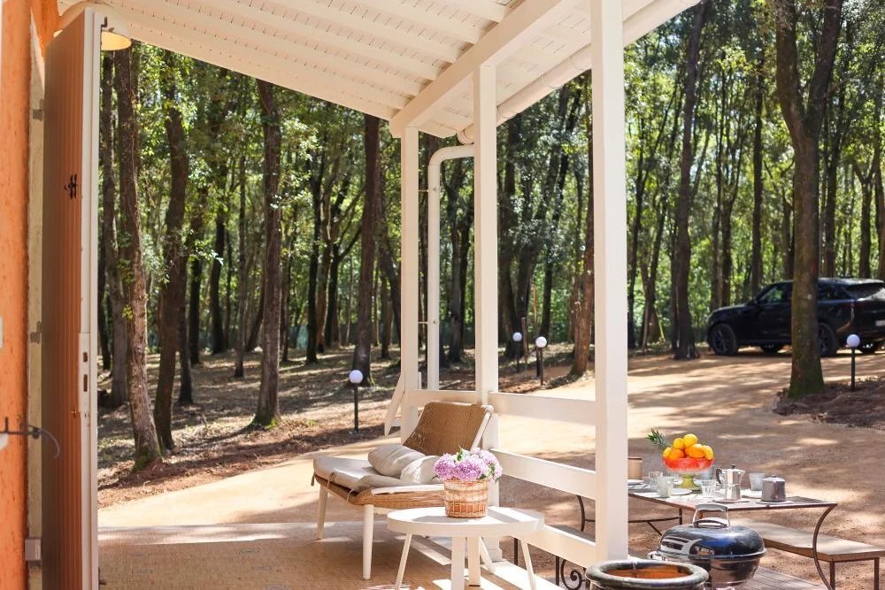 Villa a Guardistallo, Toscana, Italia 4 - 19060154