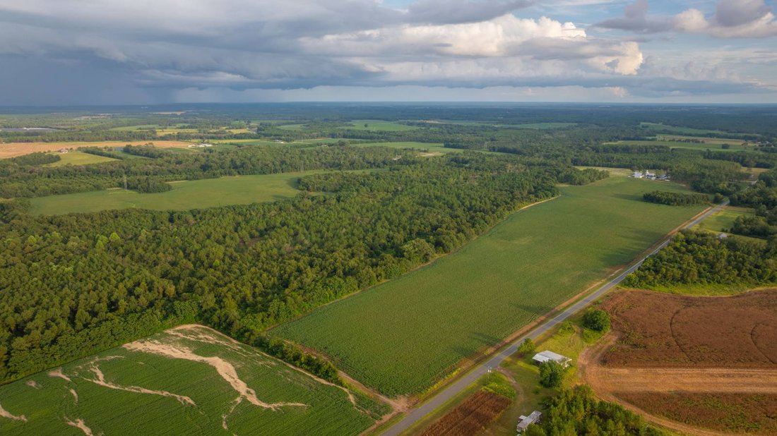 Land in Pitts, Georgia, Vereinigte Staaten 3 - 19059360