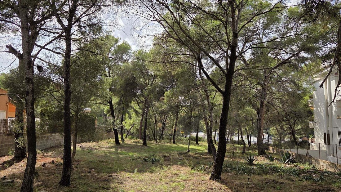 Land in Rotes Velles, Calvia, Balearic Islands 1 - 19059117