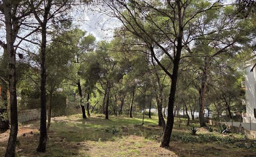 Terreno en Rotes Velles, Calviá, Islas Baleares 1