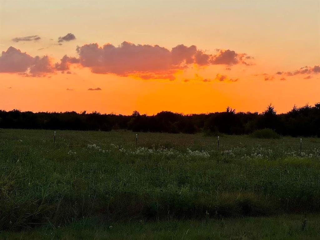 Farmersville, Texas, United States 2 - 19063839