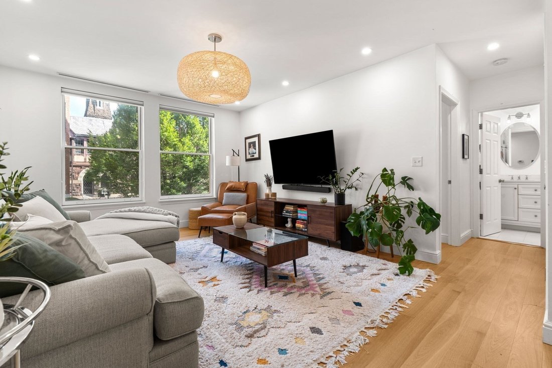 Condo in Brookline, Massachusetts, United States 3 - 19065832