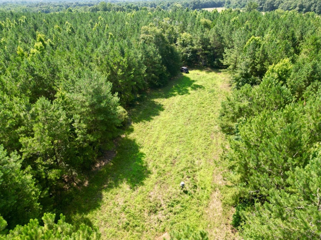 Terrain à Banks, Alabama, États-Unis 4 - 19059362