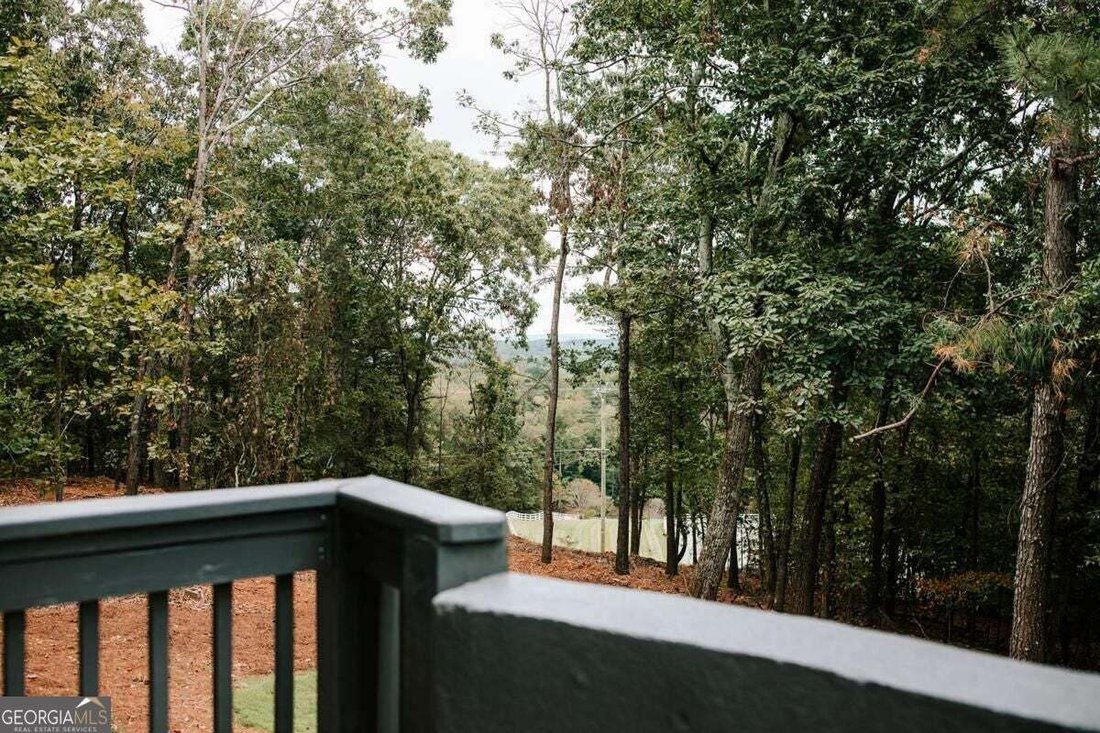House in Gainesville, Georgia, United States 5 - 19059960