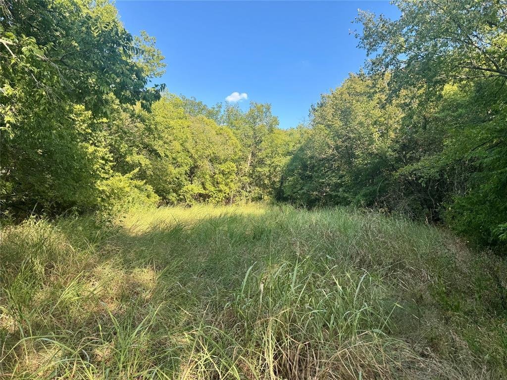 Farmersville, Texas, United States 5 - 19063839