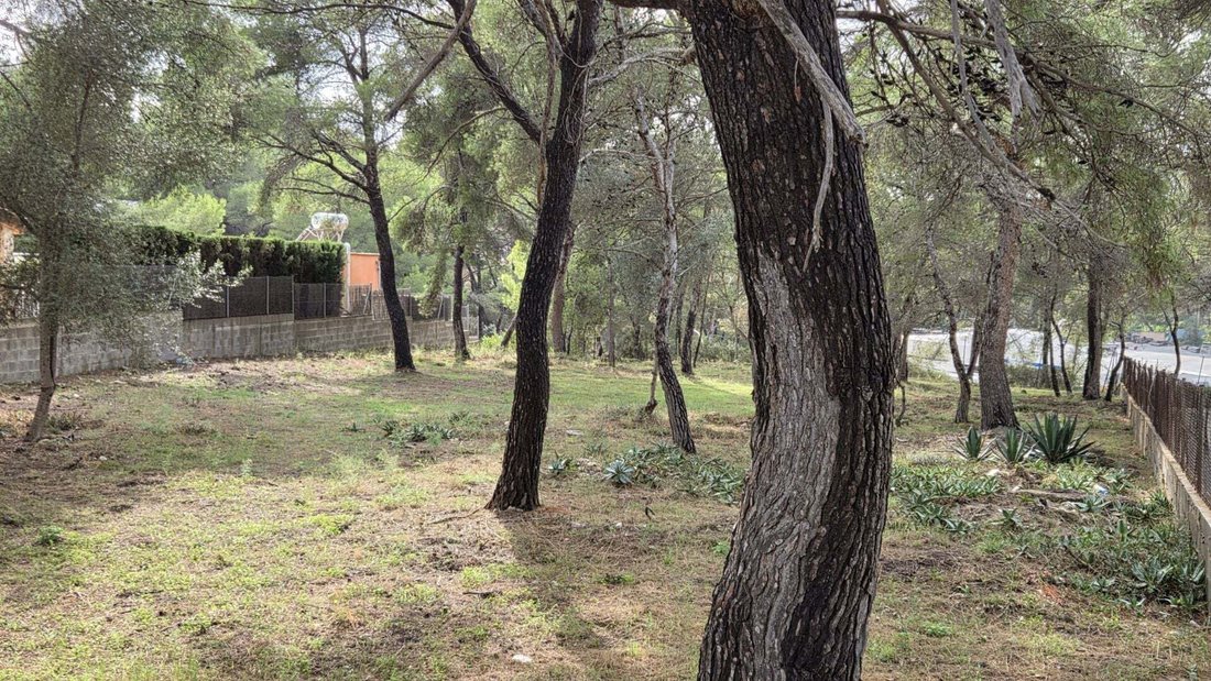 Land in Rotes Velles, Calvia, Balearic Islands 5 - 19059117