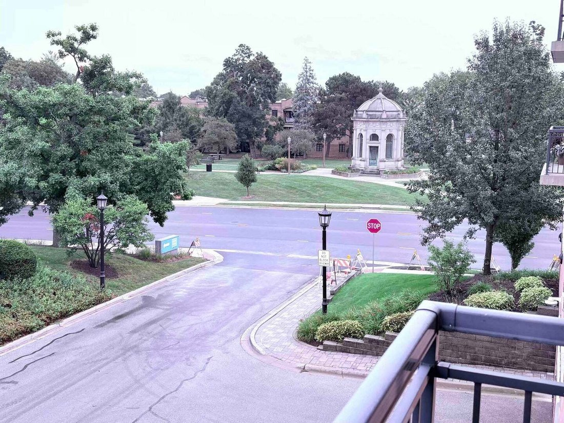 Condo in Elmhurst, Illinois, United States 5 - 19063238