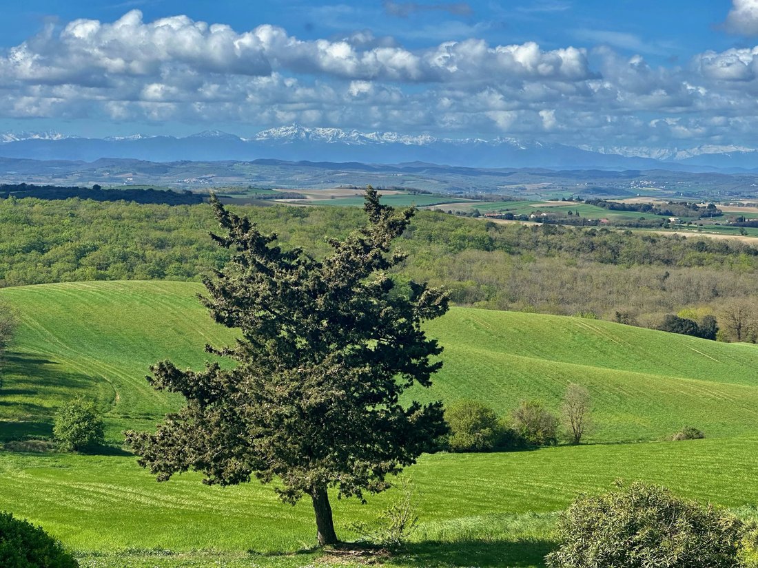 Estate in Carcassonne, Occitania, France 4 - 19064432