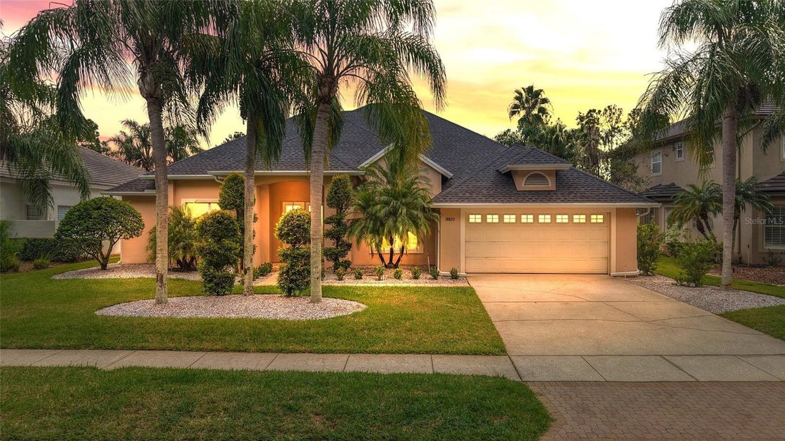 House in Land O' Lakes, Florida, United States 1 - 19043659