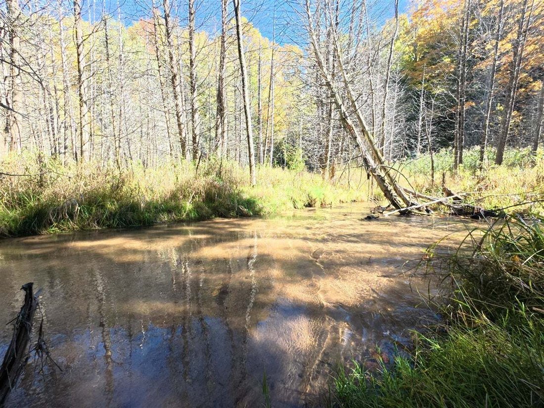 Casa en Manistee, Míchigan, Estados Unidos 4 - 19063386