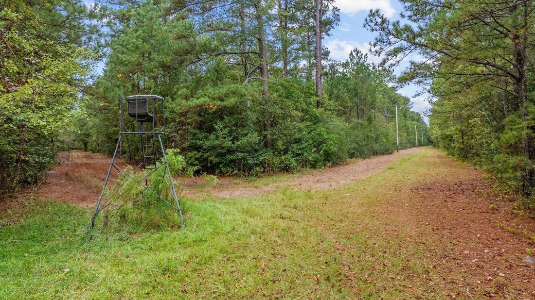 Land in Loris, South Carolina, Vereinigte Staaten 1 - 19063907