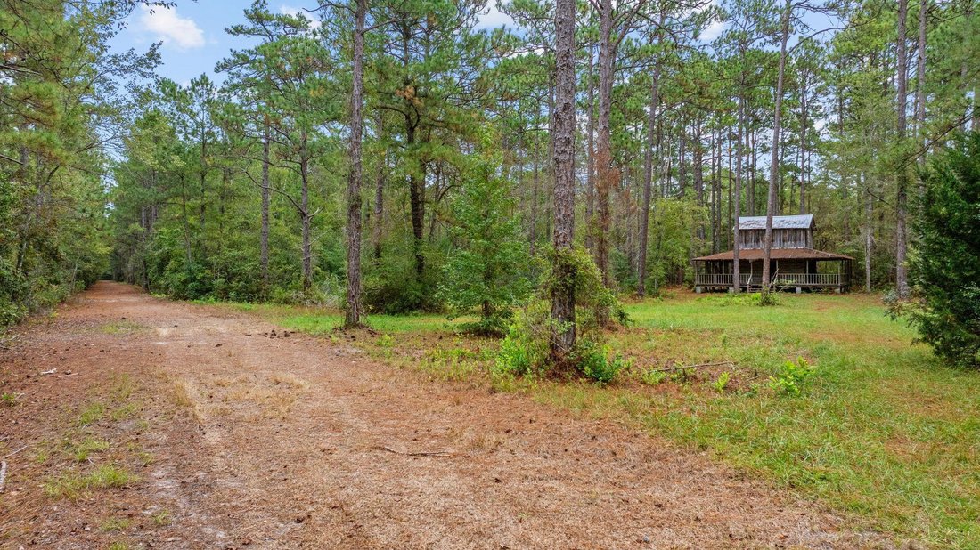 Land in Loris, South Carolina, Vereinigte Staaten 4 - 19063907