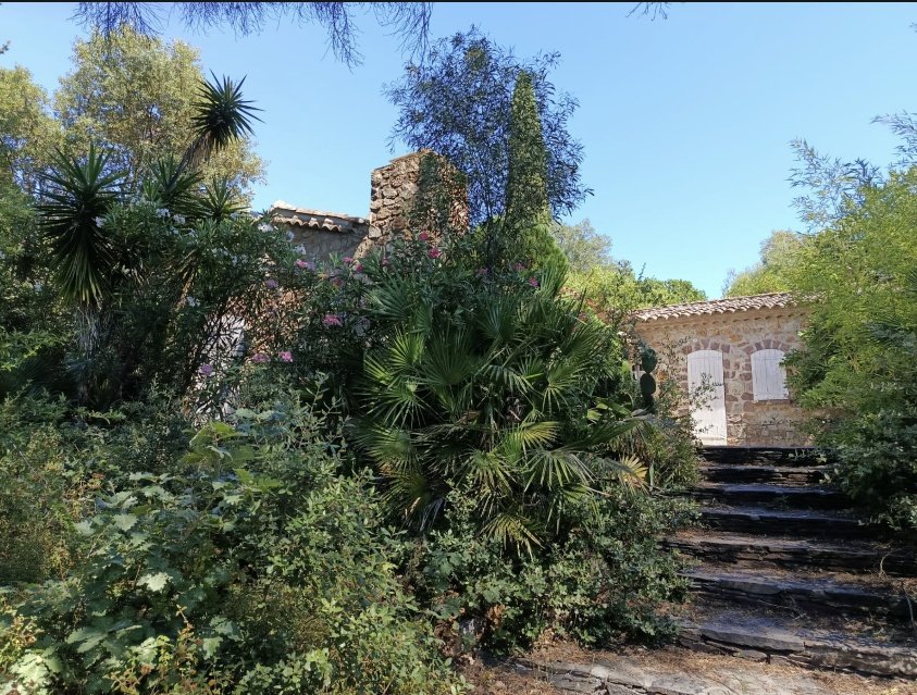 Villa in Gassin, Provence-Alpes-Côte d'Azur, France 4 - 19063956