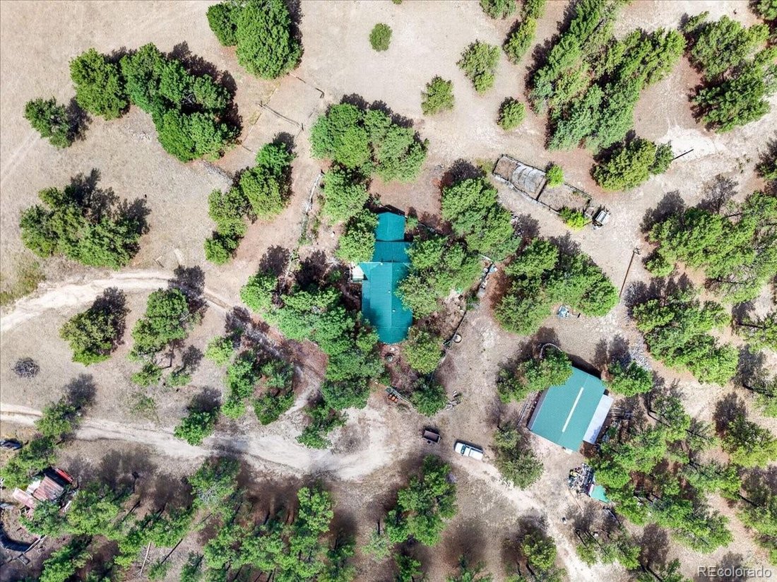 House in Ramah, Colorado, United States 5 - 19063032