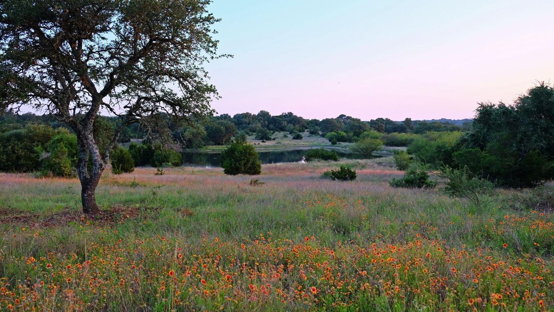 House in Bee Cave, Texas, United States 4 - 19059751