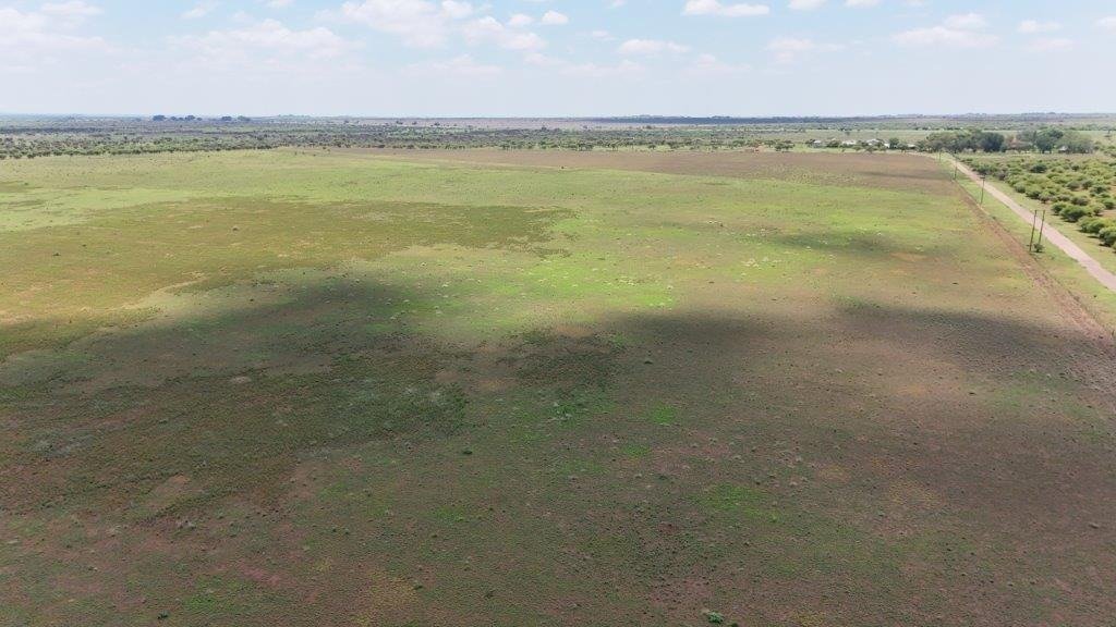 Azienda agricola a Bela-Bela, Provincia del Limpopo, Sudafrica 4 - 19061364