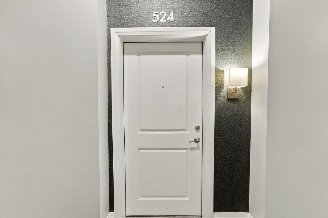 Condo in Dublin, Ohio, United States 4 - 19062243