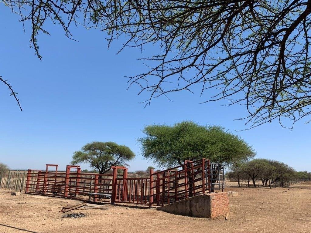 Azienda agricola a Bela-Bela, Provincia del Limpopo, Sudafrica 1 - 19061364