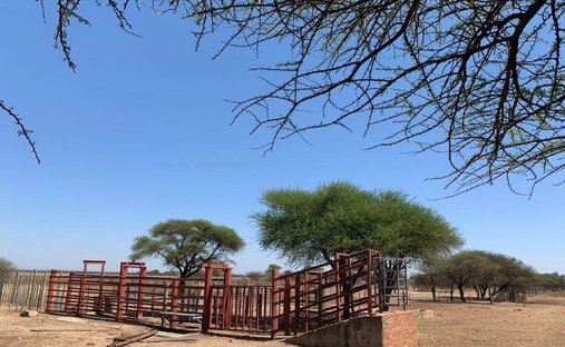 Azienda agricola in Bela-Bela, Provincia del Limpopo, Sudafrica 1