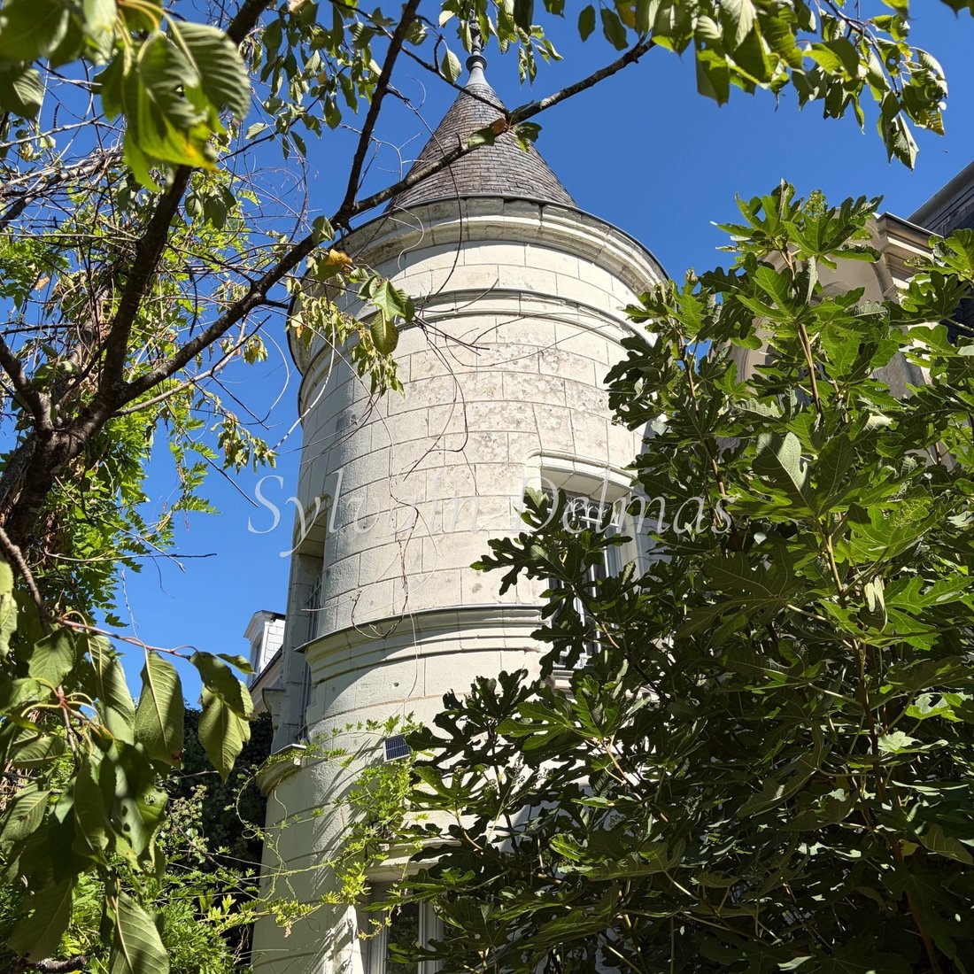 Château à Saint-Avertin, Centre-Val de Loire, France 4 - 19060354