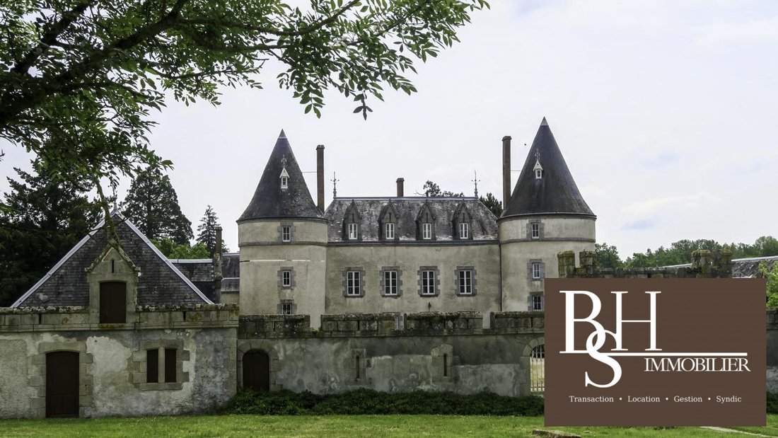 Chateau in Verneuil-Moustiers, Nouvelle-Aquitaine, France 1 - 19065757